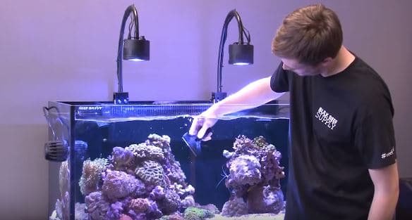 Hoe onderhoud ik mijn aquarium? De beste tips!