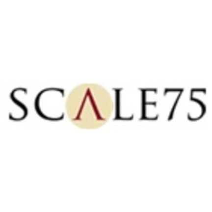 Scale 75 Paint