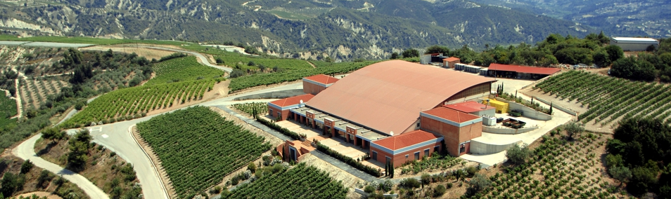 Semeli Nemea Reserve 2010 4 semeli-vineyard-luxurious-drinks