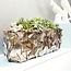 Fleurs Ami Coast Boat Une pièce maîtresse exclusive dans toutes les pièces! -