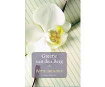Witte orchidee Witte orchidee