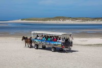 Dagtocht typisch Texel
