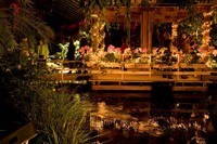 Prachtige kerstmiddag Orchideeën Hoeve