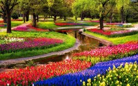 Dagtocht Keukenhof inclusief rondvaart Kagerplassen