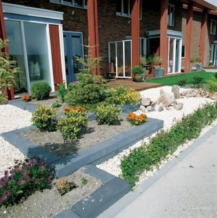 Een betonbiels, ideaal voor een plantenbak