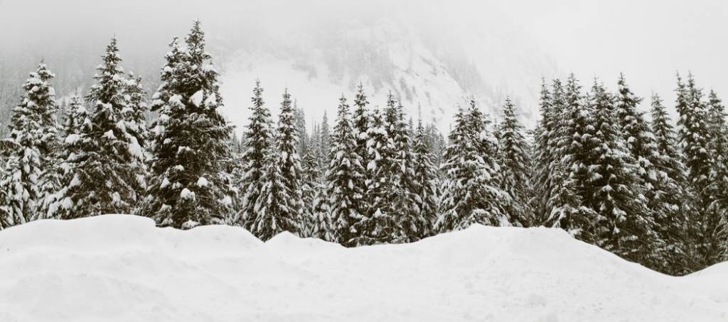 De beste tips voor het kopen van een winterjas!