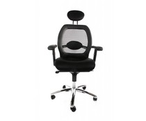 Ergonomische Bureaustoel Holten Ergonomische Bureaustoel Holten
