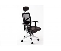 Ergonomische Bureaustoel Wierden Ergonomische Bureaustoel Wierden