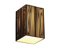 Design Plafondlamp Lasson 1 Design Plafondlamp Lasson 1