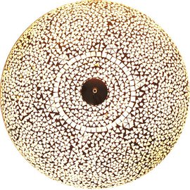 Witte grote plafonniere Witte grote plafonniere