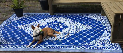 hond loungen op plastic buitenvloerkleed