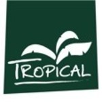 Tropical Aloe Vera
