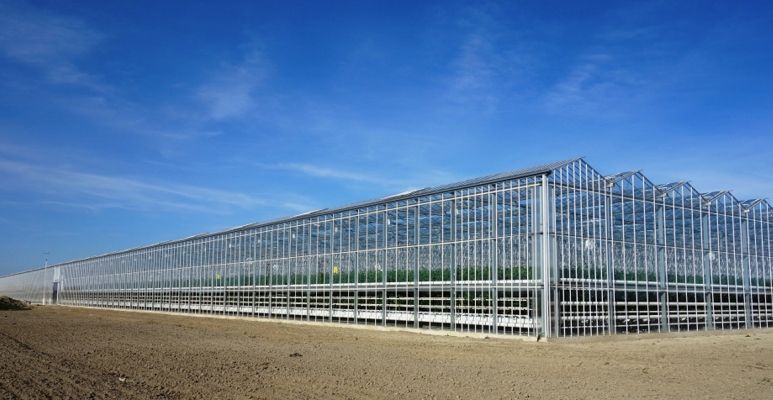 Staalkabel voor kassen- en serrebouw