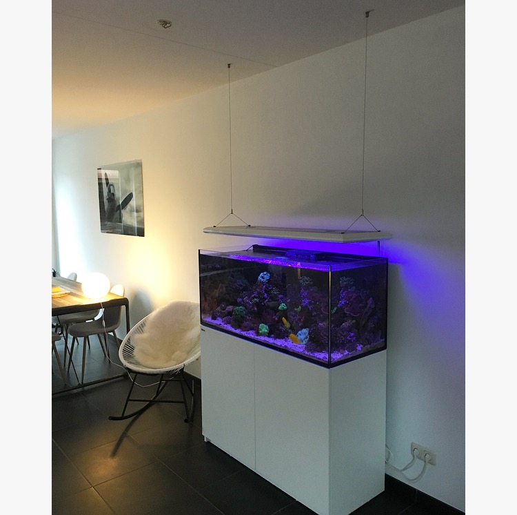 aquarium lampen ophangen