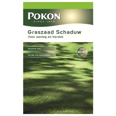 Pokon Graszaad Schaduwgazon 1KG - 50m2