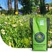 Flower Field - Graszaad met bloemenmix