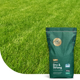 Dry & Strong Premium - Droogtebestendig graszaad 10KG