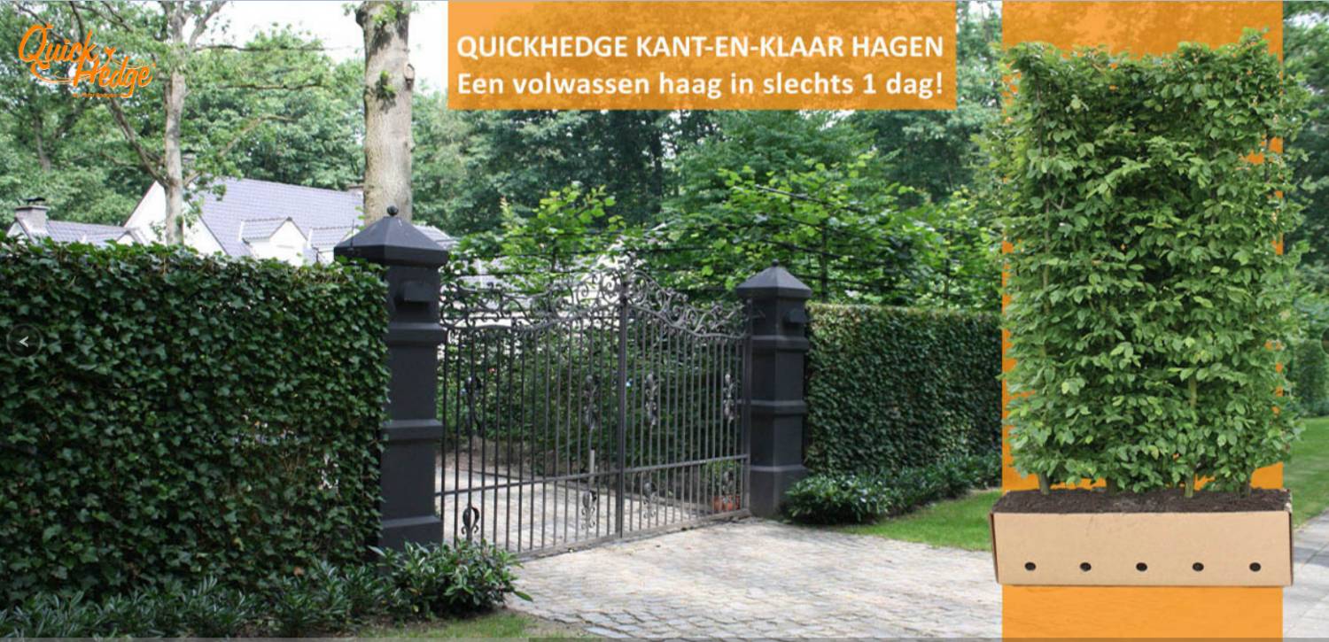 Een volwassen haag in slecht 1 dag tijd!