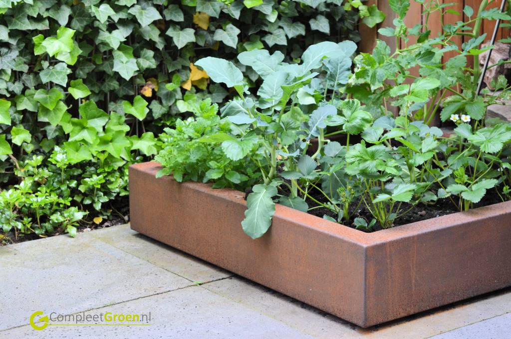 Moestuin tafel of moestuin bak?