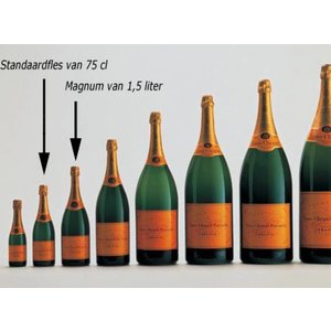 Veuve Clicquot Magnum - Brut Yellow Label champagne (1,5 liter)