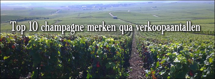 Top 10 champagnemerken 2012