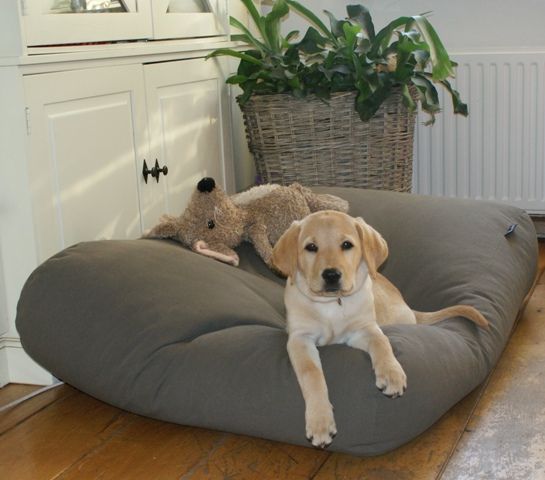 Dog's Companion® Hondenkussen muisgrijs medium