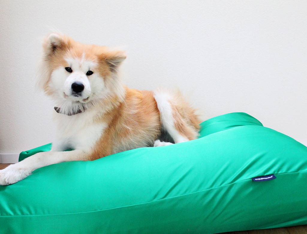 Dog's Companion® Hondenbed lentegroen vuilafstotende coating extra small