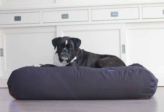 Dog's Companion® Hondenbed antraciet superlarge