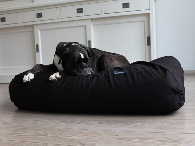 Dog's Companion® Hondenbed zwart