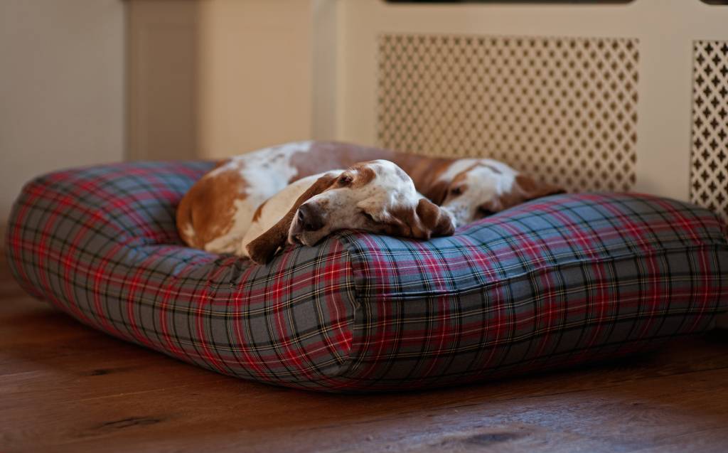 Dog's Companion® Hondenbed scottish grey