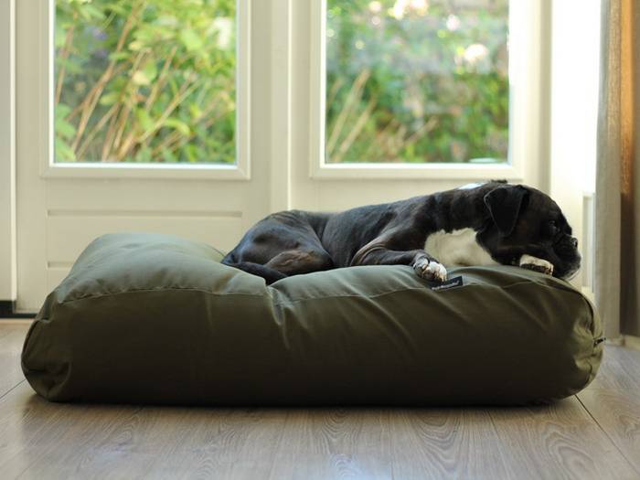 Dog's Companion® Dog bed Hunting Dog beds by Dog's Companion®