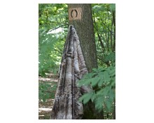 Faux Fur Throw Renard Faux Fur Throw Renard