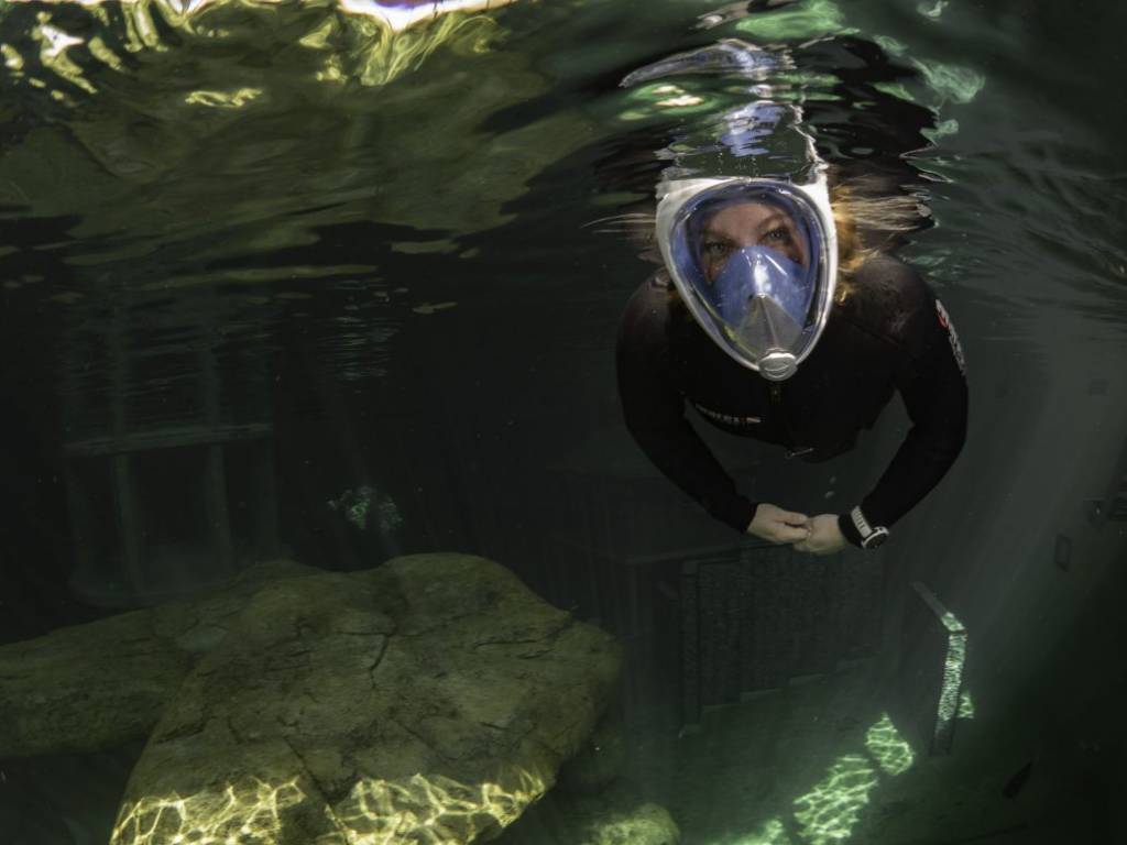 Snorkelmasker kopen