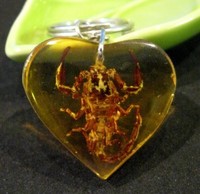 How to recognize forgeries of Baltic amber? Test your own amber.
