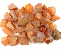 Raw Baltic amber