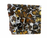 Pallasite with olivines