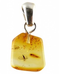 Ketting hangers van Baltisch barnsteen met insect