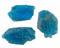 Blauw/groene Apatiet uit Madagasker