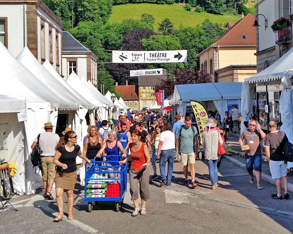 Bezoek aan de Sainte Marie Mineral Show