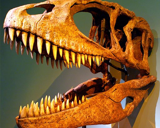 Afrikaanse dinosauriërs