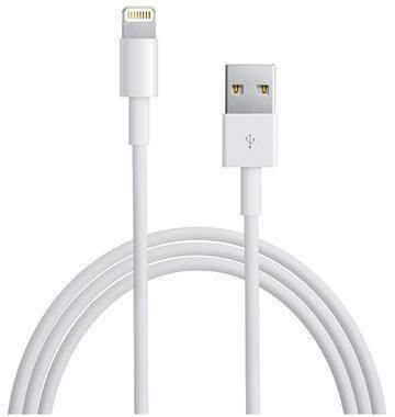 iPad Mini 4 USB kabel