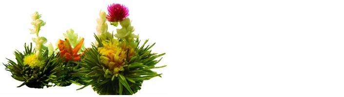 Zelf theebloemen maken