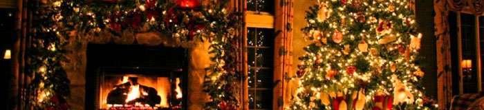 Vier de feestdagen in een kerst kostuum van Feestbazaar!