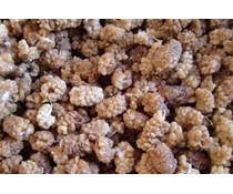 Moerbeibessen 300 gram Moerbeibessen 300 gram