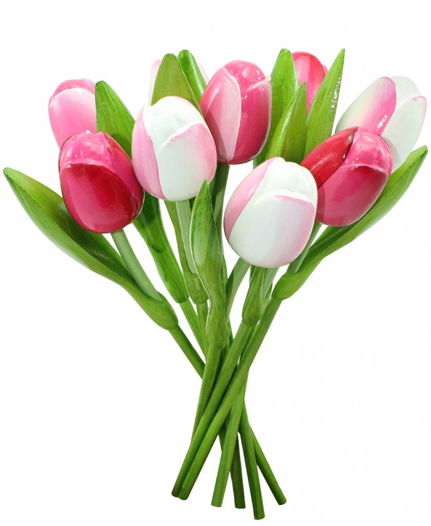 Shop online the most beautiful Wooden Tulips - Typically Dutch - www ...