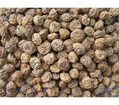 tigernuts tijgernoten skinned (gepeld wit) **TOP-DEAL** tigernuts tijgernoten skinned (gepeld wit) **TOP-DEAL**