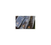 korda dark matter rig korda dark matter rig