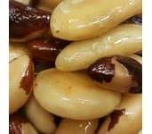 all in partikels brazilian nuts all in partikels brazilian nuts