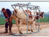 Robuuste Klauwbekapbox, Klauwbehandelbox, Degelijke Bekapbox SA0018