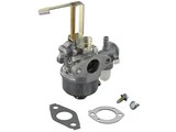 Carburateur voor Briggs and Stratton Motoren met een Horizontale Krukas en 6,5 PK, Kloofmachine - Houtversnipperaar - Aggregaat - Generator - Trilplaat - Waterpomp - Tuinfrees